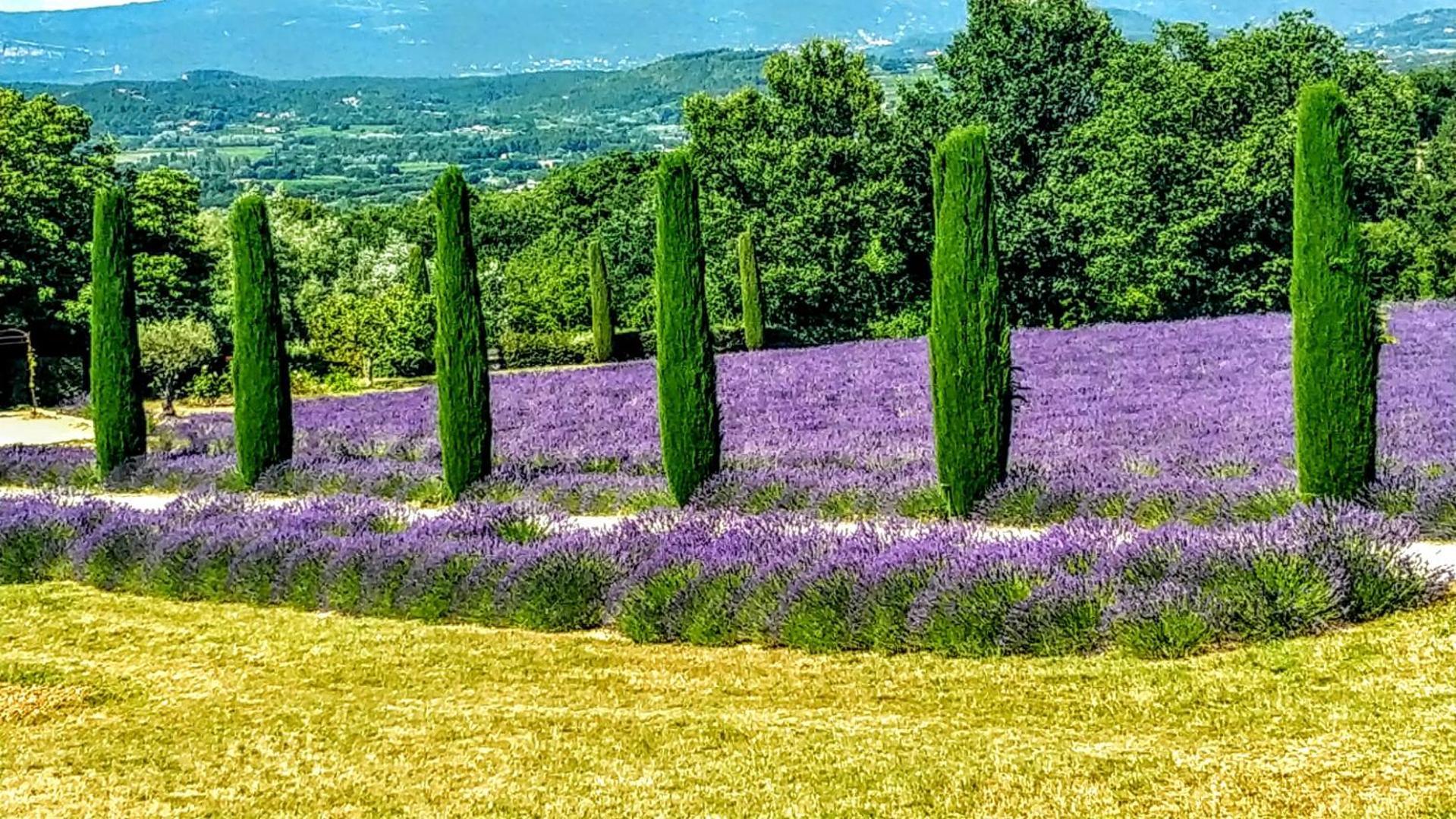 Le Mas De Roussillon Otel Roussillon en Isere Dış mekan fotoğraf