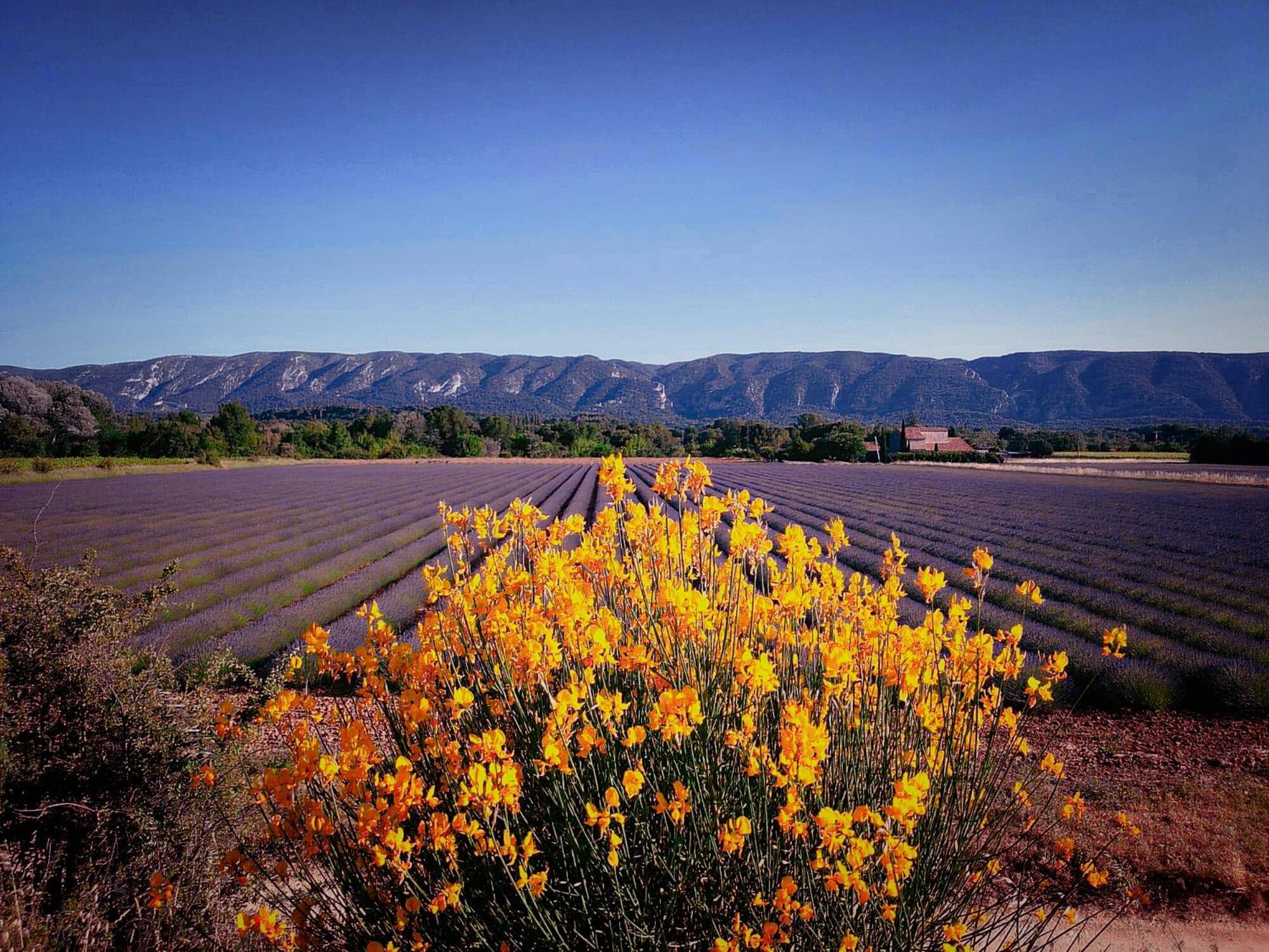Le Mas De Roussillon Roussillon en Isere Dış mekan fotoğraf